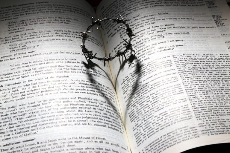 heart symbol in an open Bible