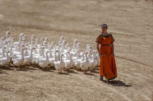 geese following woman