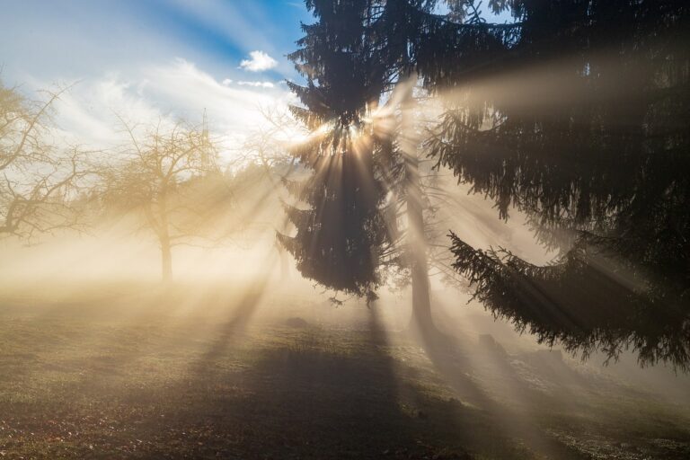 rays, sun, light